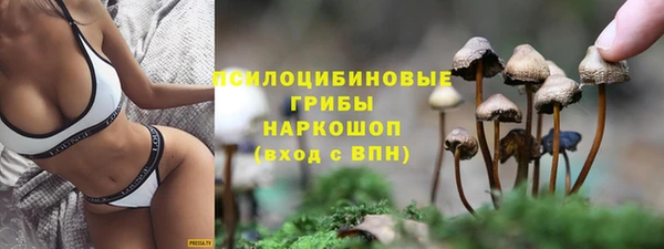 крисы Магас