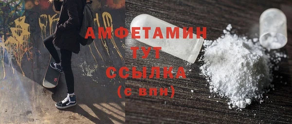 крисы Магас