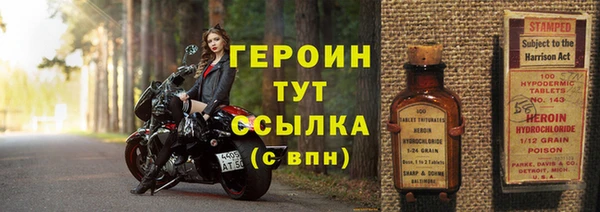 крисы Магас