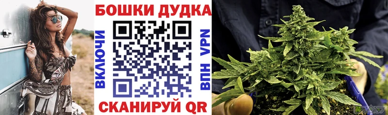 Бошки Шишки Amnesia  Мышкин 